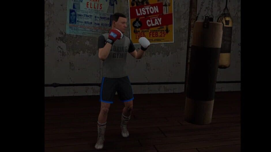 True Boxing VR screenshot 1