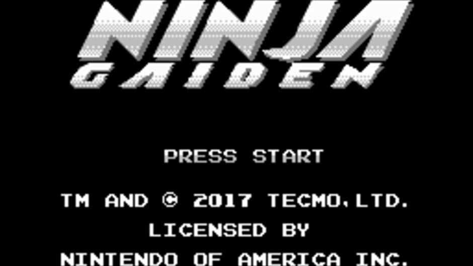 Ninja Gaiden: Dragon Scroll screenshot 1