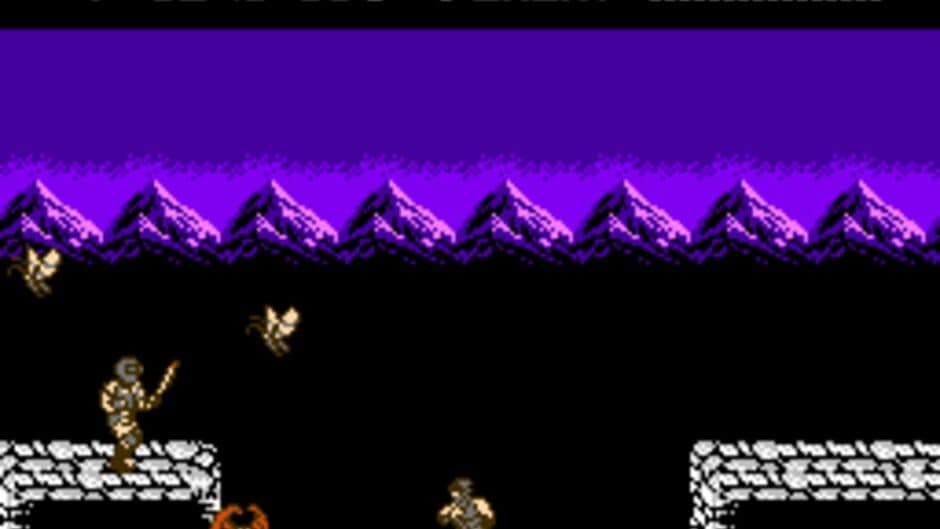 Ninja Gaiden: Dragon Scroll screenshot 2