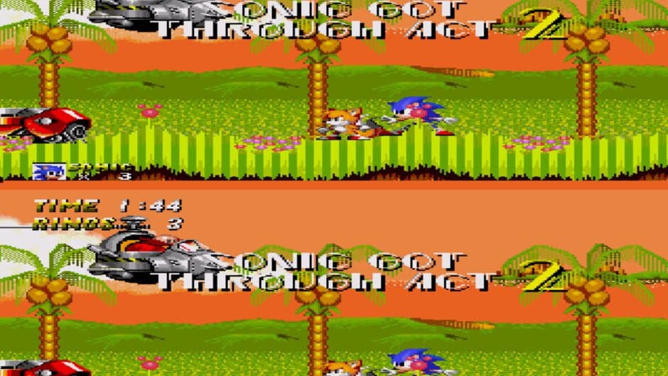 Sonic the Hedgehog 2 Co-op screenshot 1