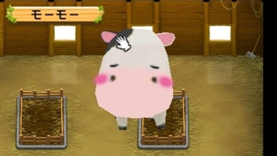 Story of Seasons: The Tale of Two Towns+ screenshot 2