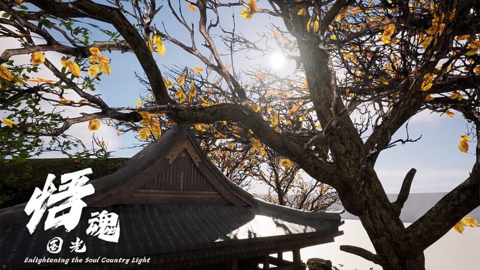 Enlightening the Soul Country Light screenshot 1