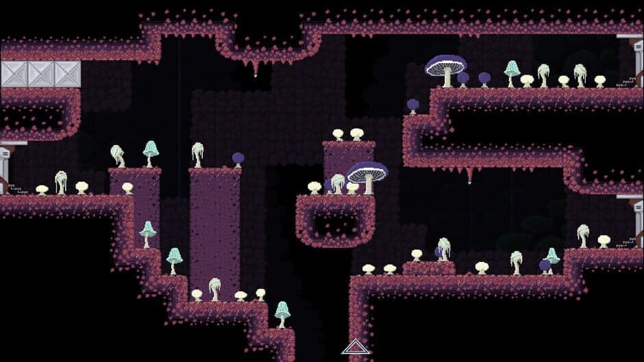 Xenomycology screenshot 1