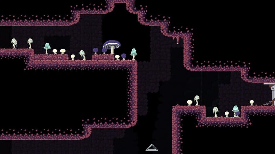 Xenomycology screenshot 3
