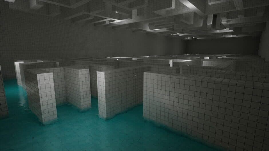 Backrooms Game No. 999999 screenshot 4