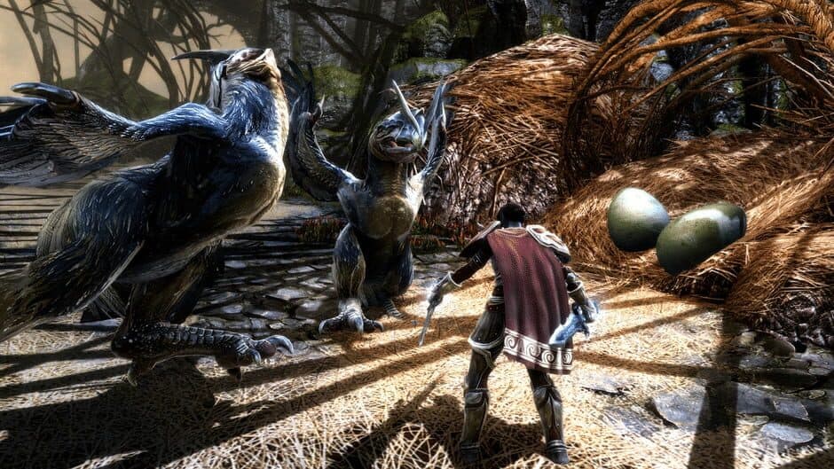Kingdoms of Amalur: Re-Reckoning - Collector's Edition screenshot 2