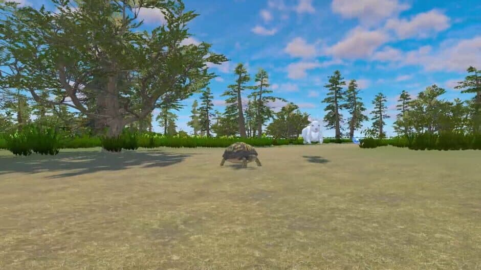 Rabbit and Turtle screenshot 2