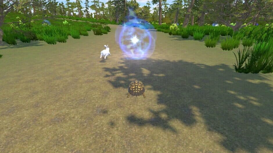 Rabbit and Turtle screenshot 3