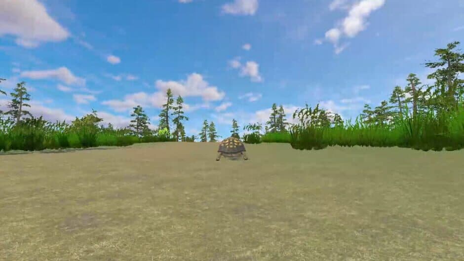 Rabbit and Turtle screenshot 4