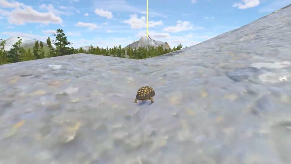 Rabbit and Turtle screenshot 1