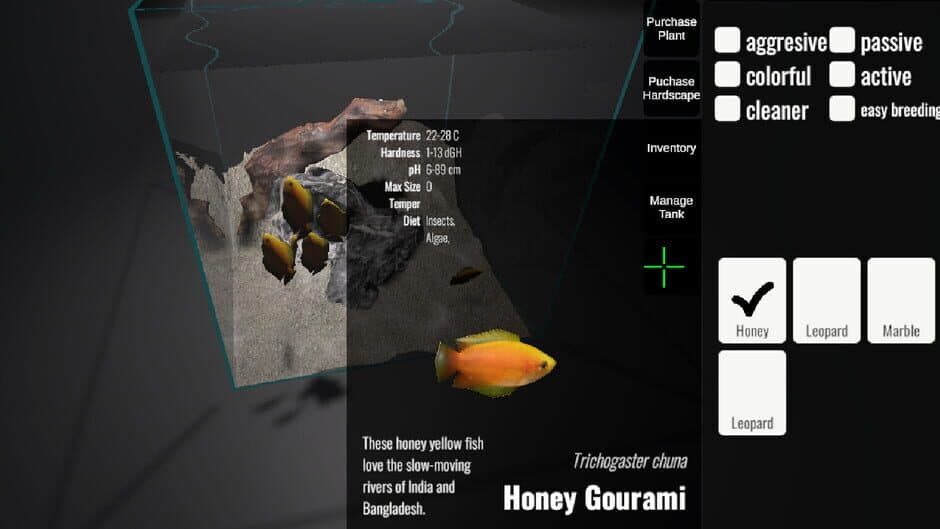 CEO Fish screenshot 4
