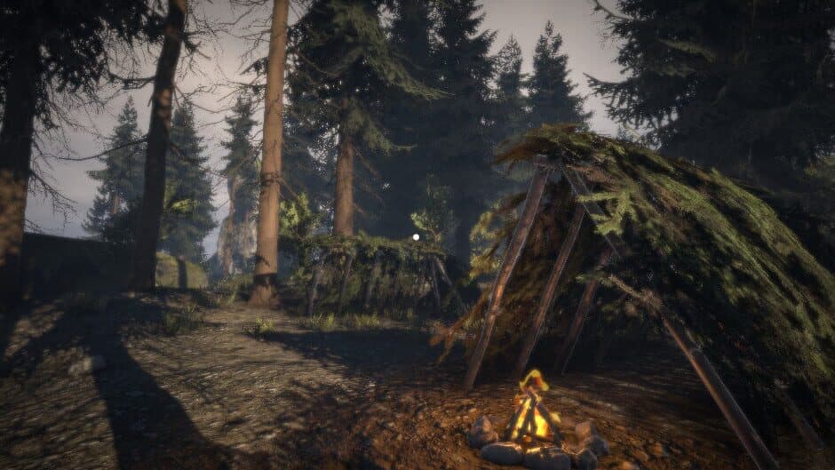 Survival Prototype X screenshot 1