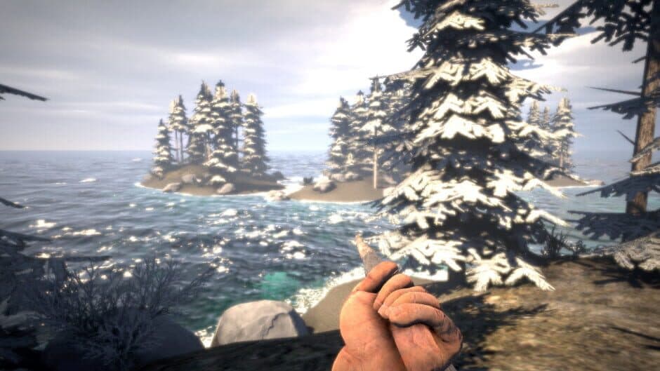 Survival Prototype X screenshot 4