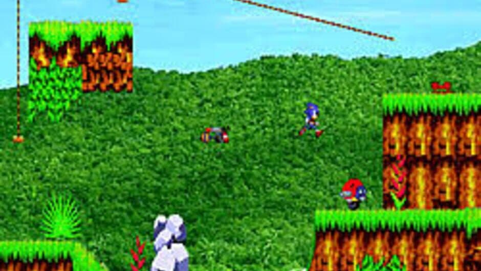 Sonic on Angel Island screenshot 2