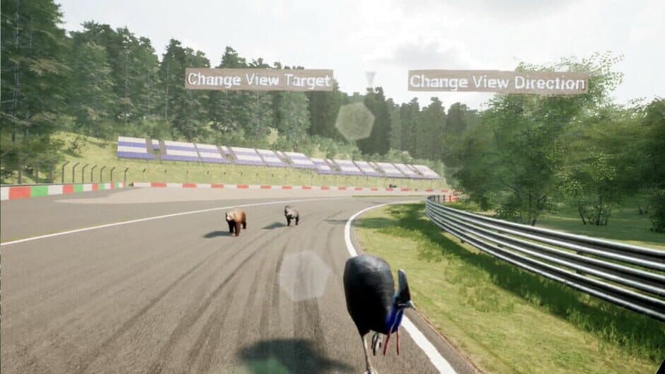 Animal Race Run VR screenshot 4