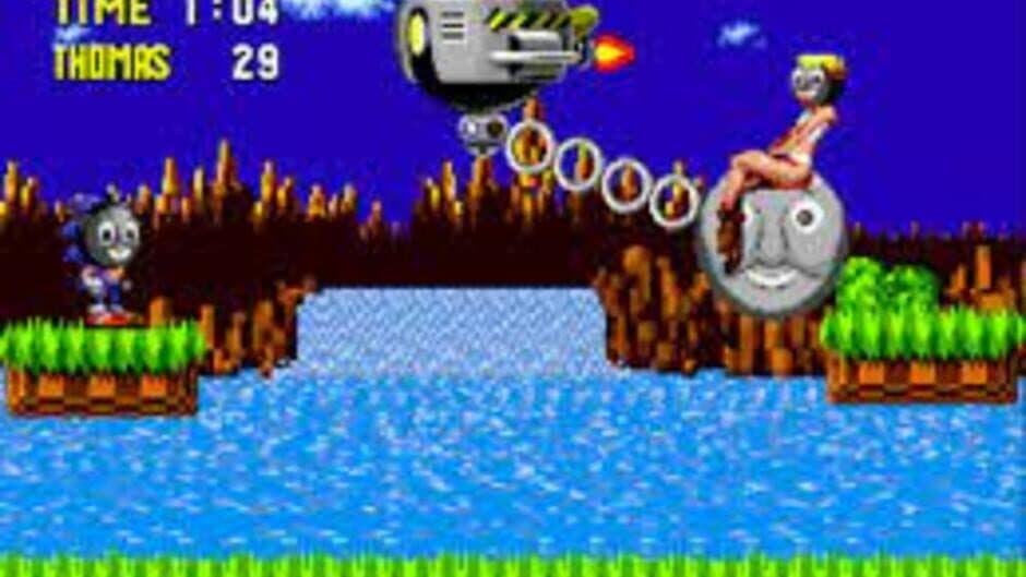Sonic the Very Useful Engine screenshot 1