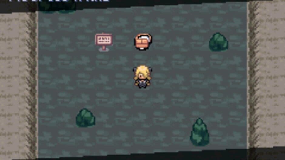 Pokémon: The Pit screenshot 1