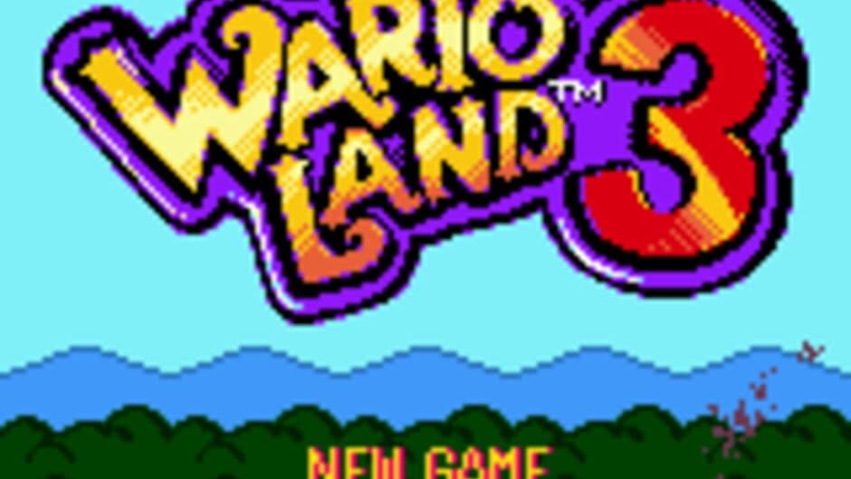 Wario Land 3: The Master Quest screenshot 1