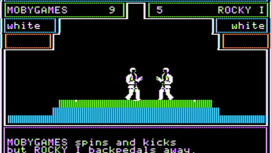 Competition Karate screenshot 2