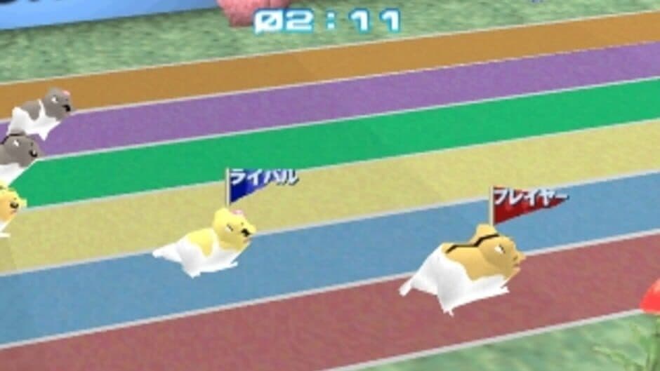 Hamster Club-i screenshot 2