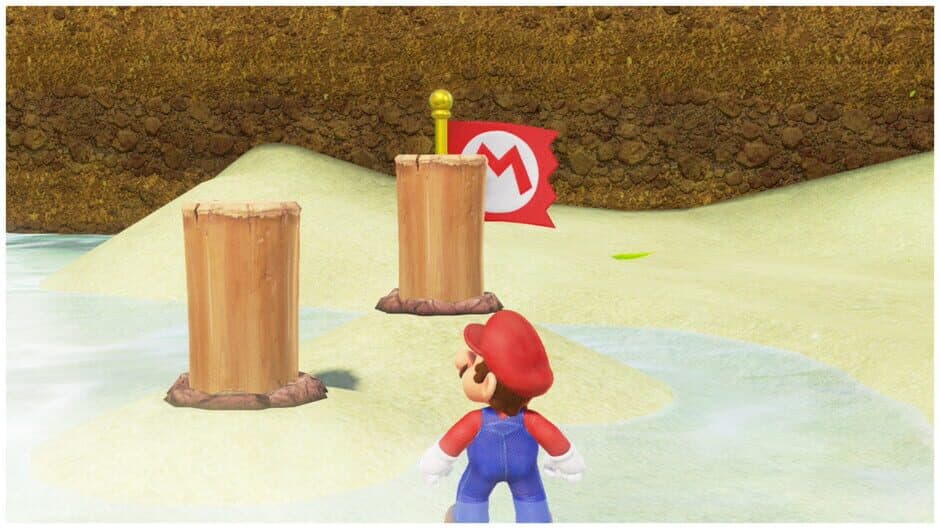 Super Mario Odyssey: Kaizo Mode screenshot 4