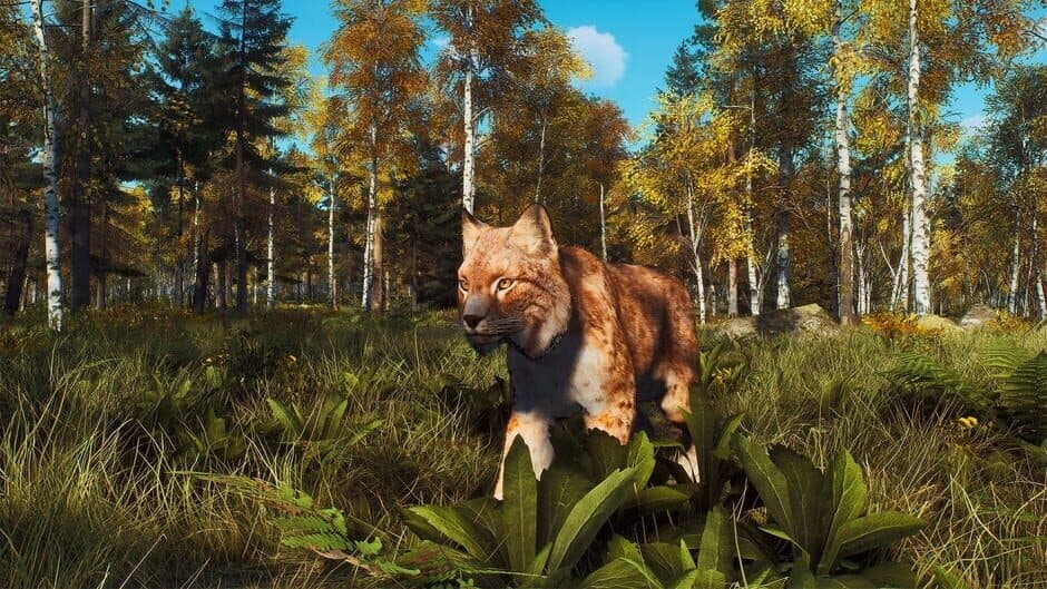 Way of the Hunter: Lintukoto Reserve screenshot 3