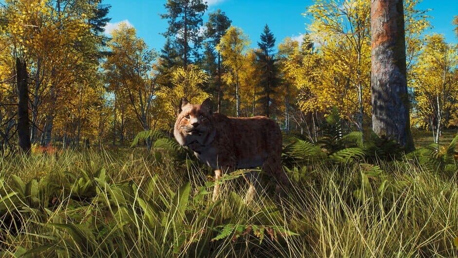 Way of the Hunter: Lintukoto Reserve screenshot 4