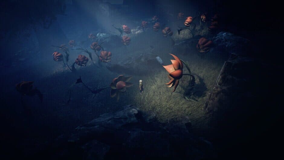 Ayasa: Shadows of Silence screenshot 3