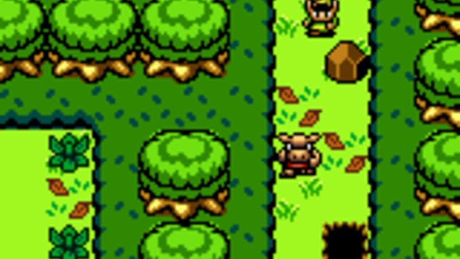 The Legend of Zelda: Chaos Rising screenshot 2