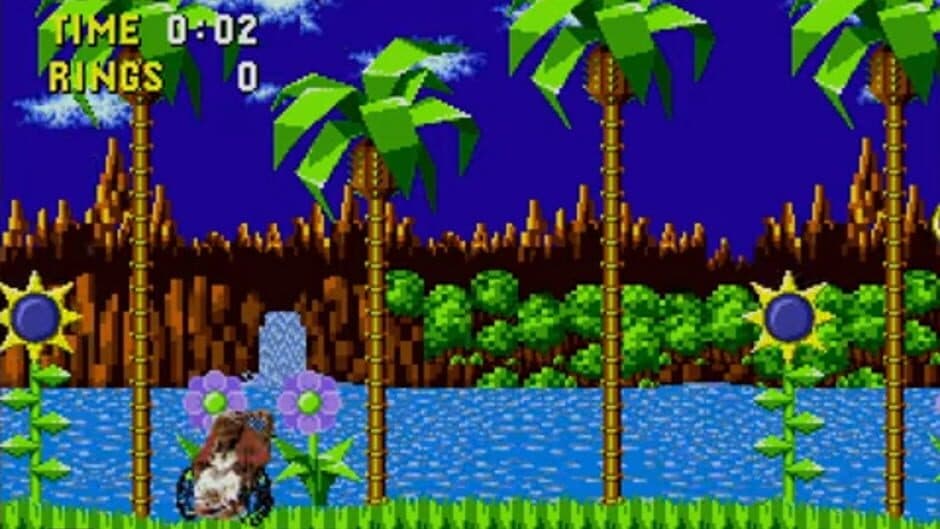 The Grandma from Coco in Sonic 1 screenshot 1