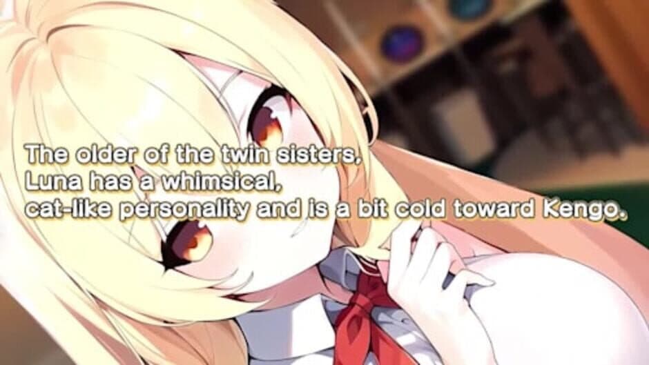Furry Twins Oshikake Kemomimi Twins screenshot 1