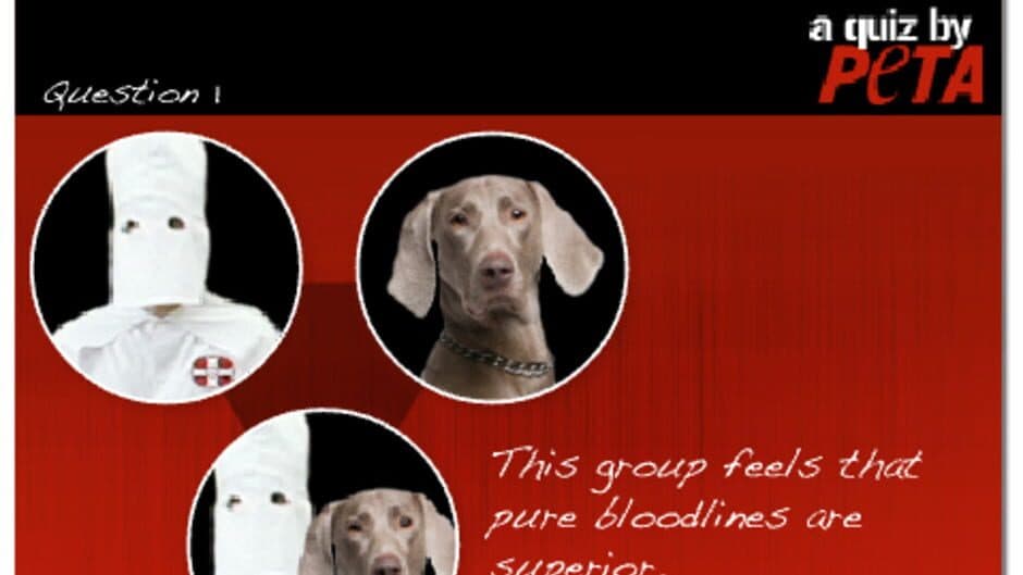 KKK or AKC? A Quiz by PETA screenshot 1