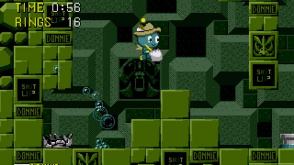 Donnie the Chao screenshot 1