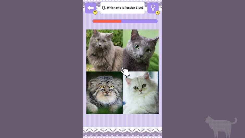 Cat Spotting Challenge! screenshot 1