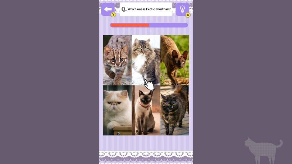 Cat Spotting Challenge! screenshot 2