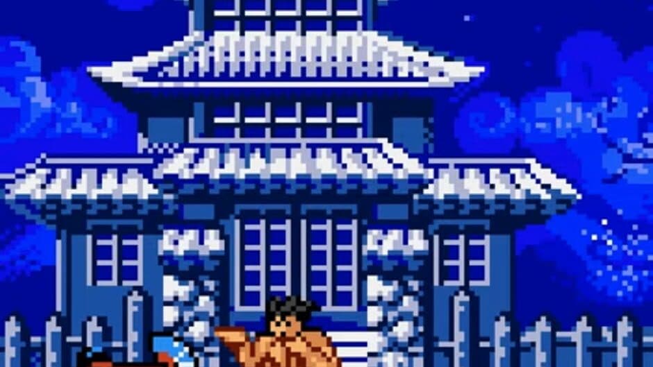 Kung Fu Fearsome Fists screenshot 1