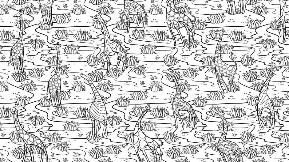 Animal Pattern screenshot 3