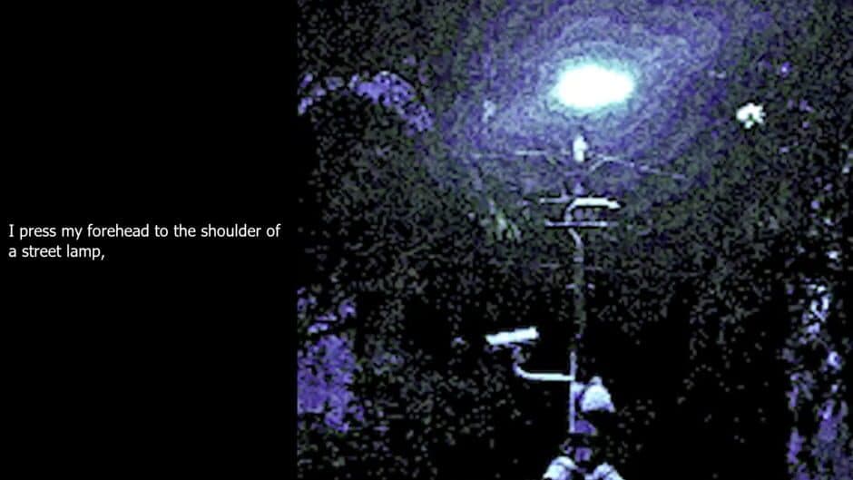 Street Lamp Lover screenshot 1