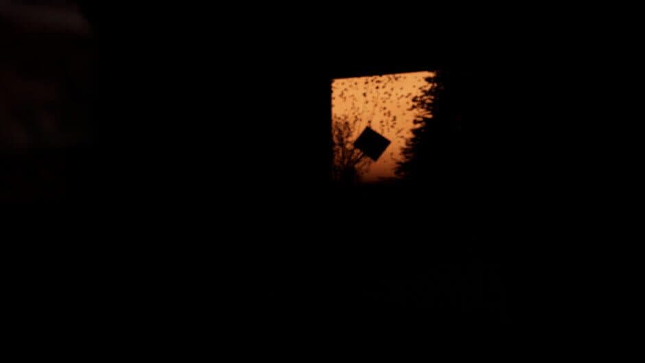 Desolate Dusk screenshot 1