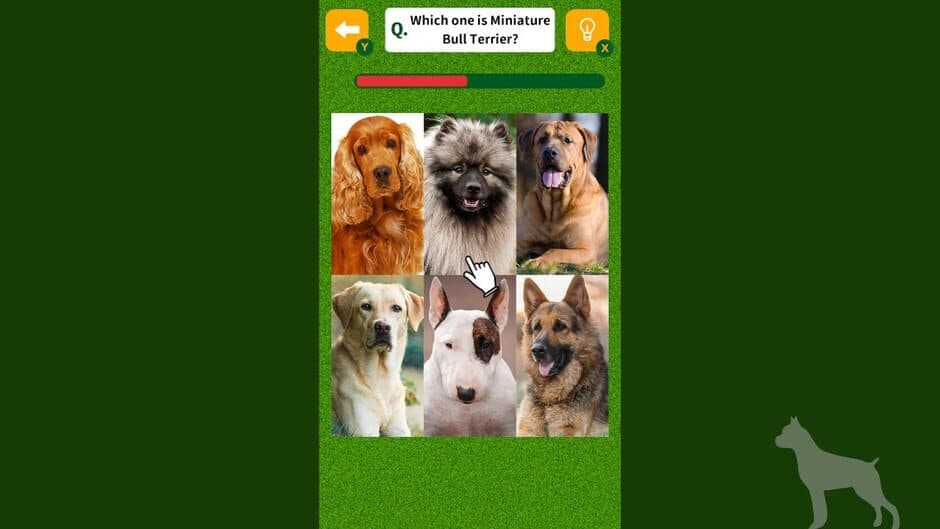 Dog Spotting Challenge! screenshot 1