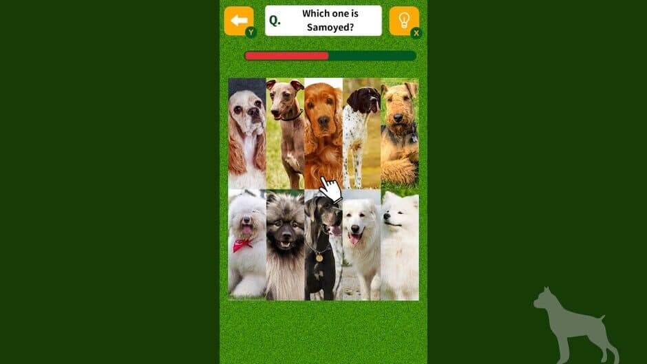 Dog Spotting Challenge! screenshot 2