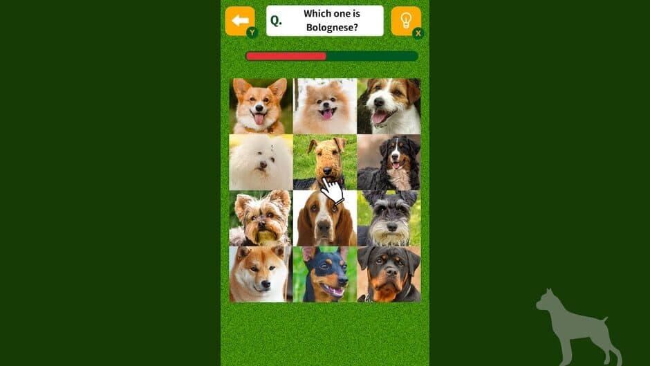 Dog Spotting Challenge! screenshot 3