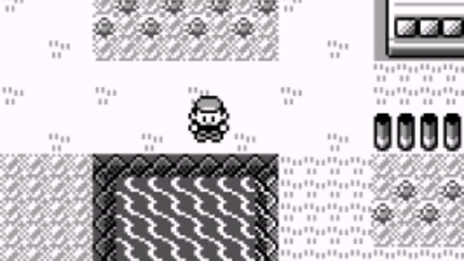 Pokémon: Professor Oak Challenge screenshot 1
