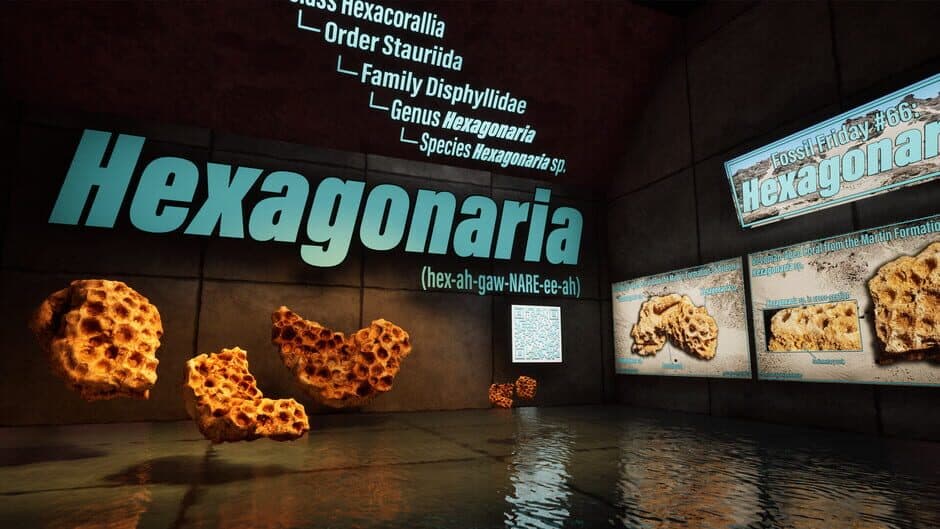 ShadowBox: Mausoleum of Natural History screenshot 4