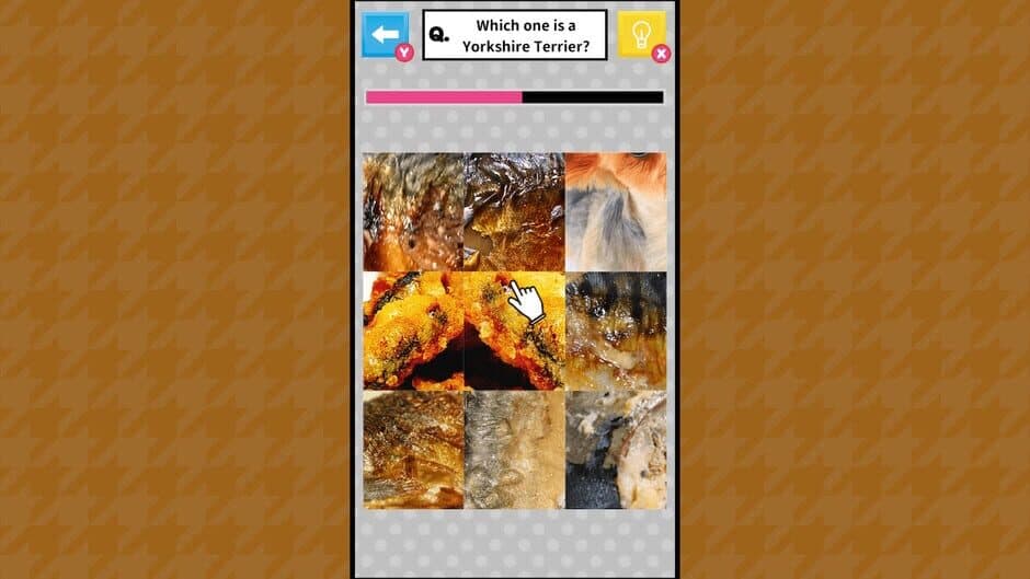 Brain Challenge Spot the Real One! screenshot 2
