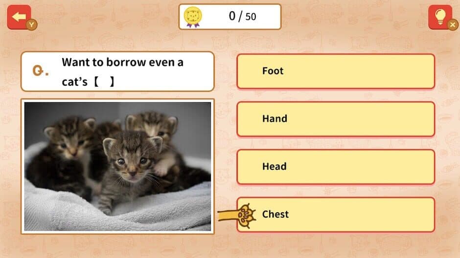 Quiz! Cat Proverbs Around the World screenshot 4