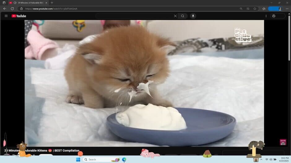 Digital Desktop Cats screenshot 2