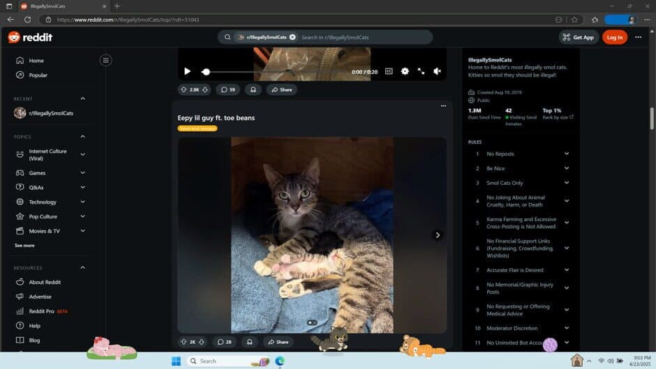 Digital Desktop Cats screenshot 4