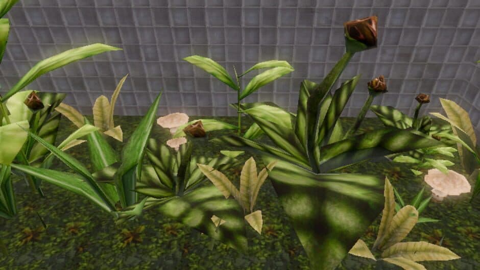Cloud Storage Botanical Station screenshot 1