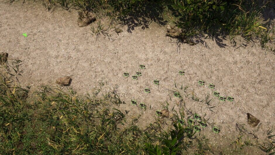 Empire of the Insects screenshot 4